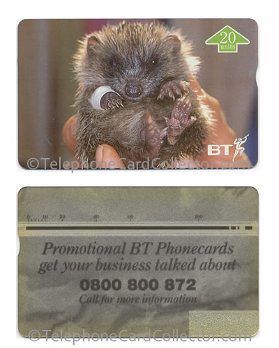 BTI154: St. Tiggywinkles Full Face Trial Card - BT Phonecard
